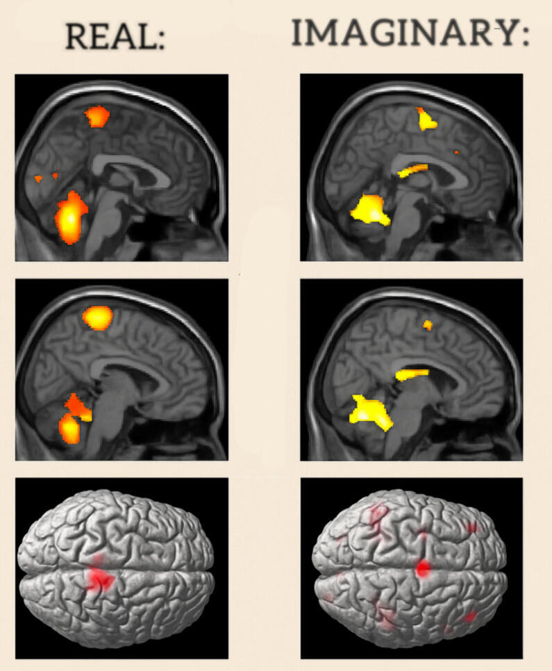 The impact of imagining on the brain. What you imagine is what you train your brain to execute.